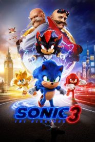 MovieGalaxyBD.COM Sonic the Hedgehog 3 2025 WEB-DL [Hindi] 480p 720p 1080p Watch & Download GDrive [MovieHubBD COM]